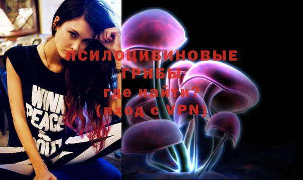 кокс Дмитров