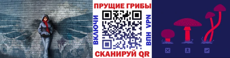 Галлюциногенные грибы мицелий Камбарка